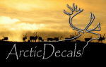 Arctic Decals